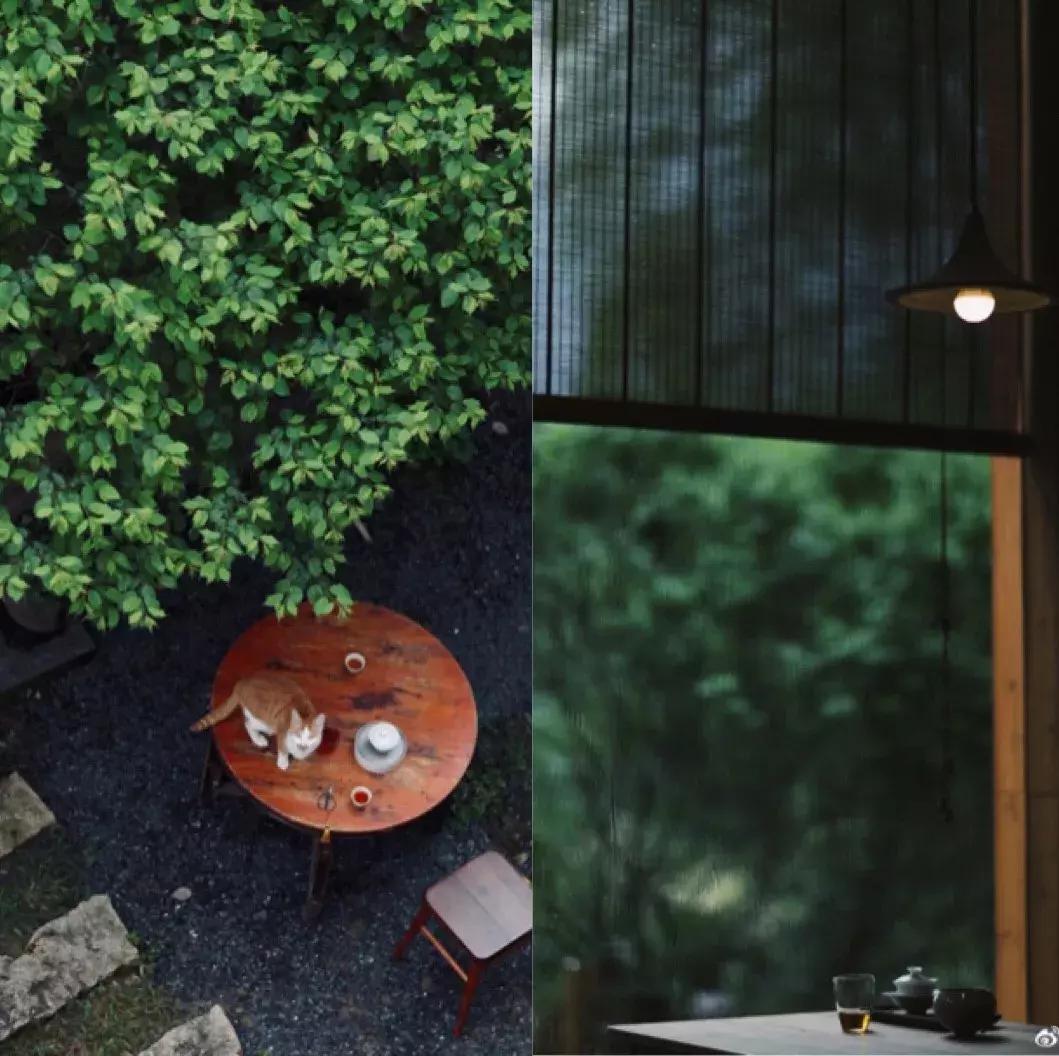 武夷山亲子民宿推荐独栋别墅,武夷山一同山居茶文化民宿