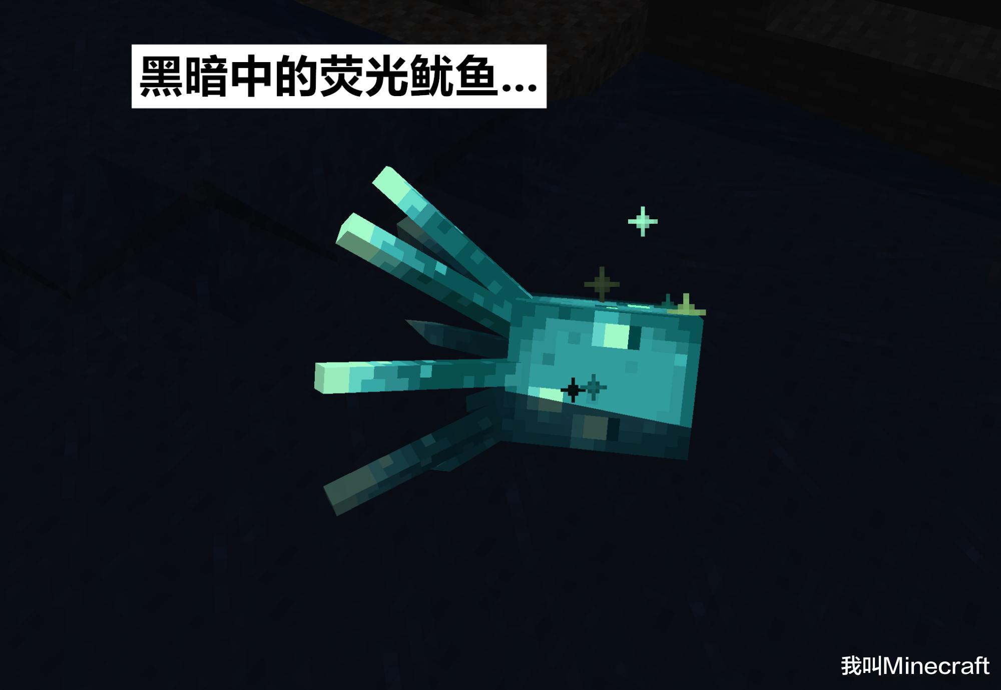 1.17版本我的世界新品种发光鱿鱼,我的世界发光鱿鱼介绍