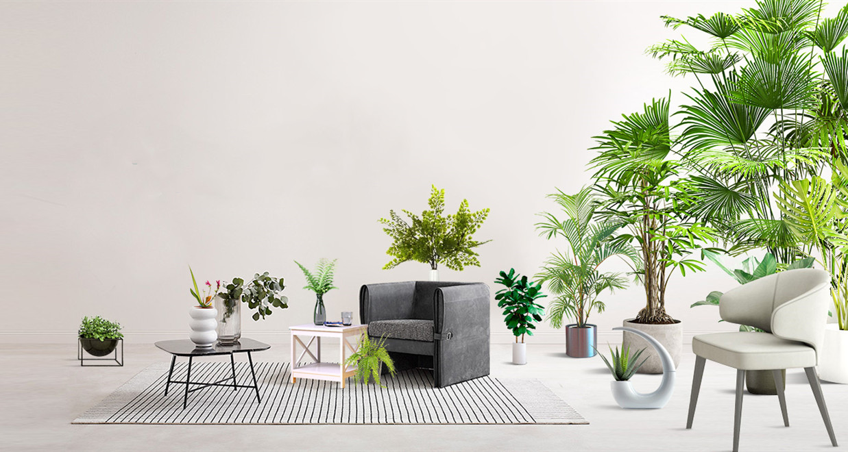 双12来国美选购2匹1级能效的格力空调实惠多多