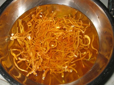 蛹虫草鸡汤怎么炖汤最好喝,蛹虫草鸡汤怎么炖好喝又营养