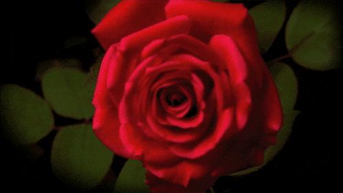 男生脱单香水,贴标脱单香水