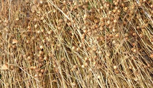 夏季面料选择特点有哪些,夏季面料哪种才是最舒服