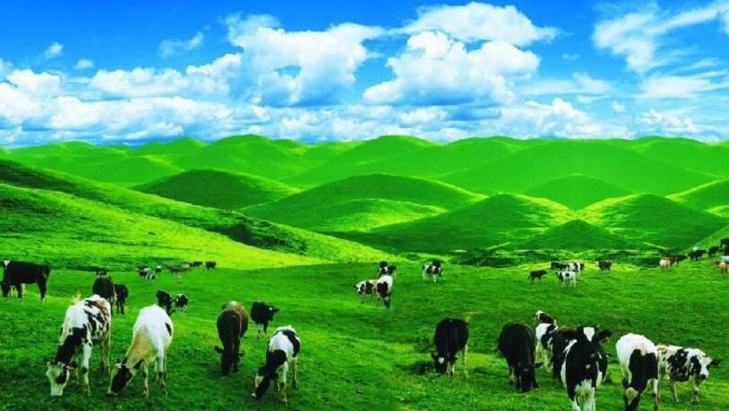 双十一哪个牌子的奶粉最好,双十一婴儿奶粉预售榜单