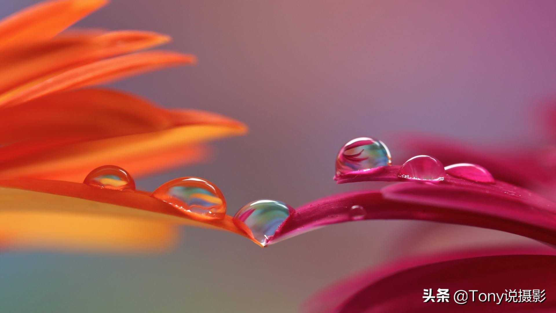 拍照片糊怎么办,拍照拍糊了怎么补救