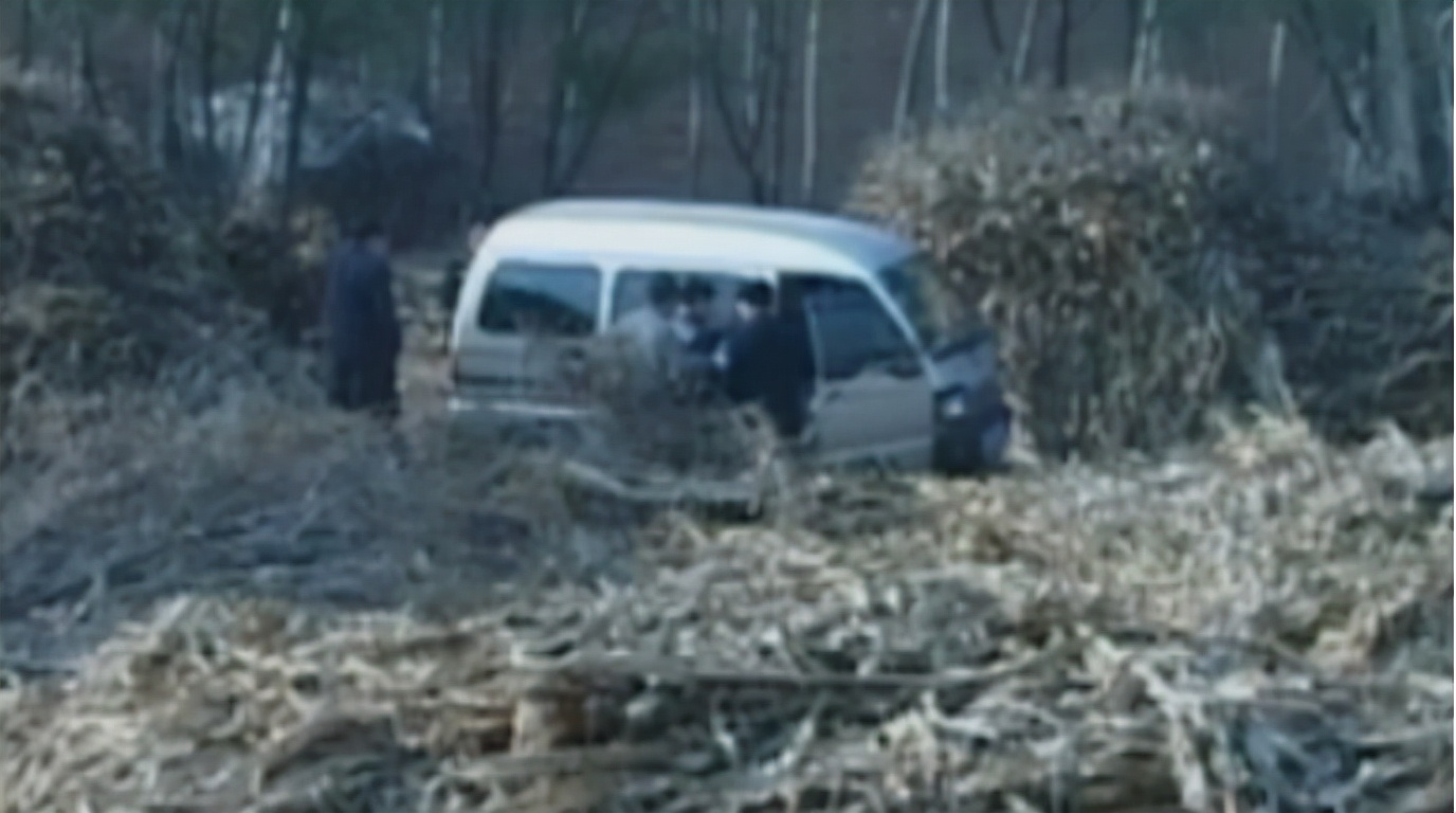 出租司机连环杀人案,90年代出租车司机杀人案