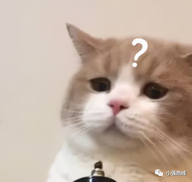 广东男子租名车28天,男子租豪车三个月