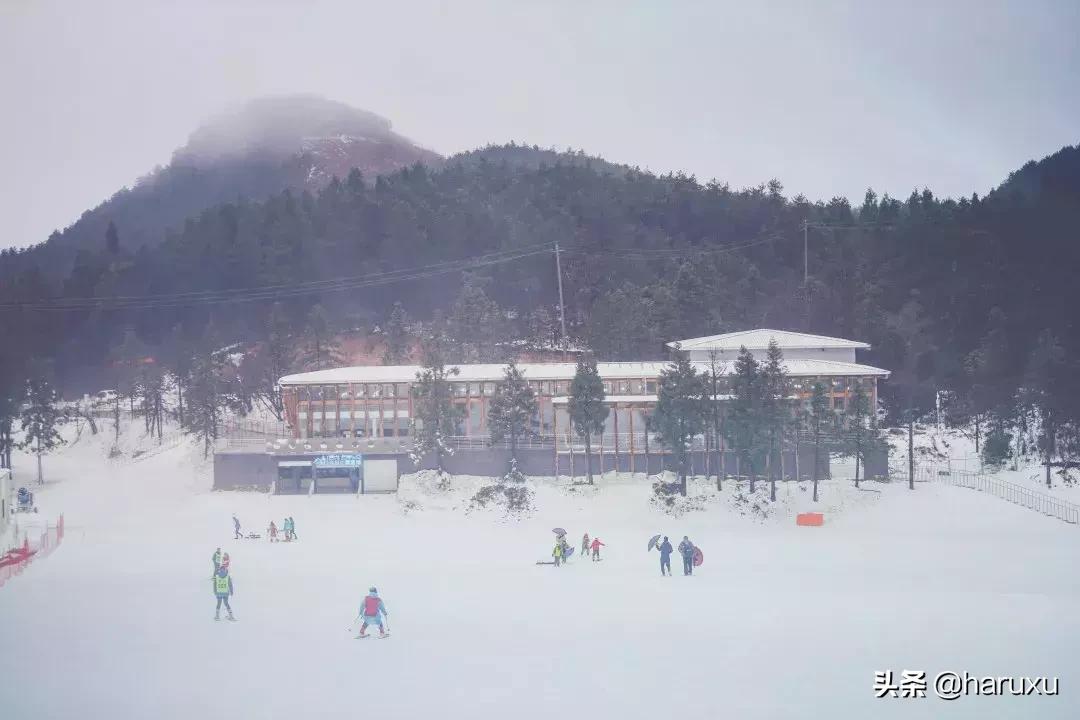 南方也能下雪吗,南方也能见到雪