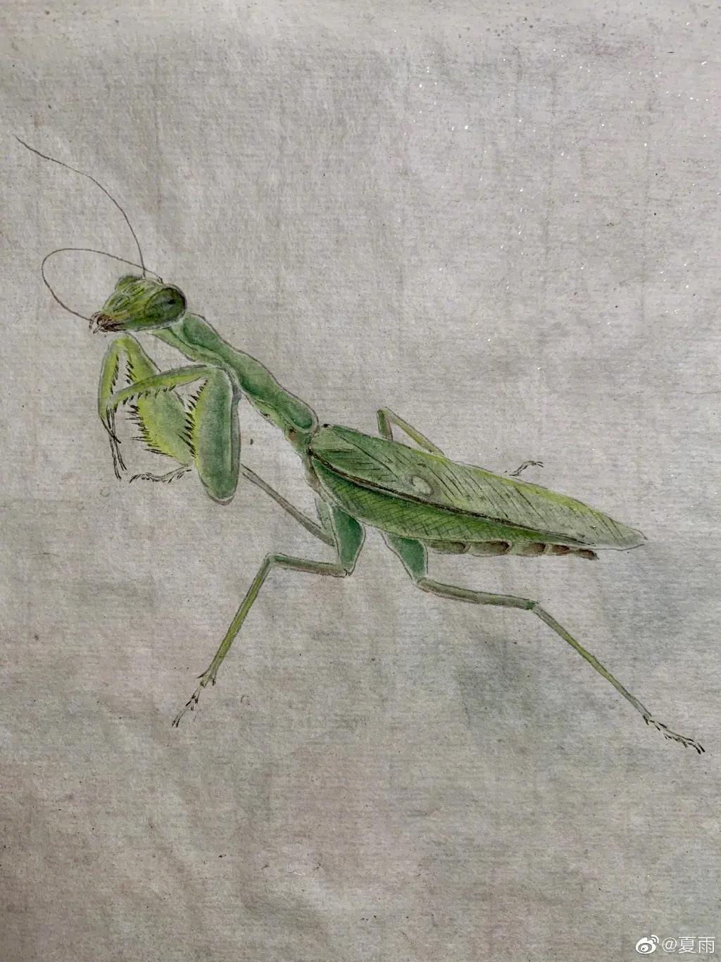 影帝夏雨书法真迹,演员夏雨晒书法作品