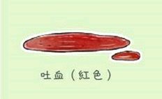 铲屎官的呕吐,狗狗呕吐铲屎官该怎么办