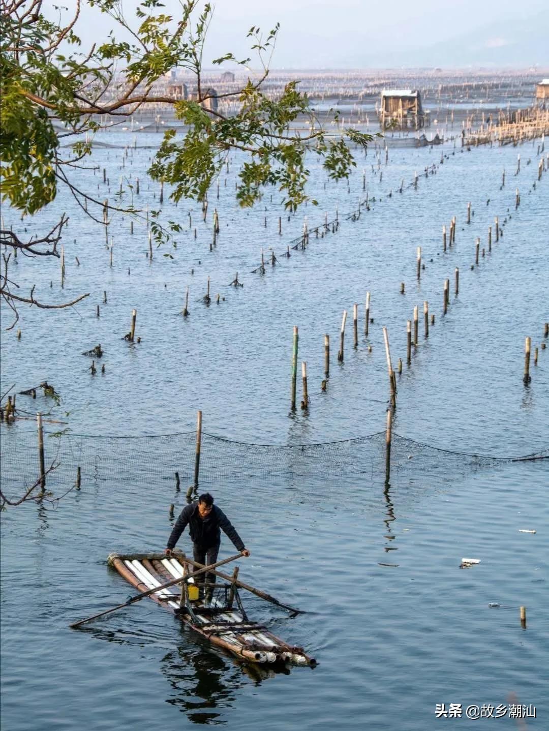 潮汕海山风情图片,饶平海山风情