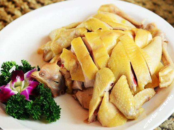 我的家乡海南,我的家乡海南岛