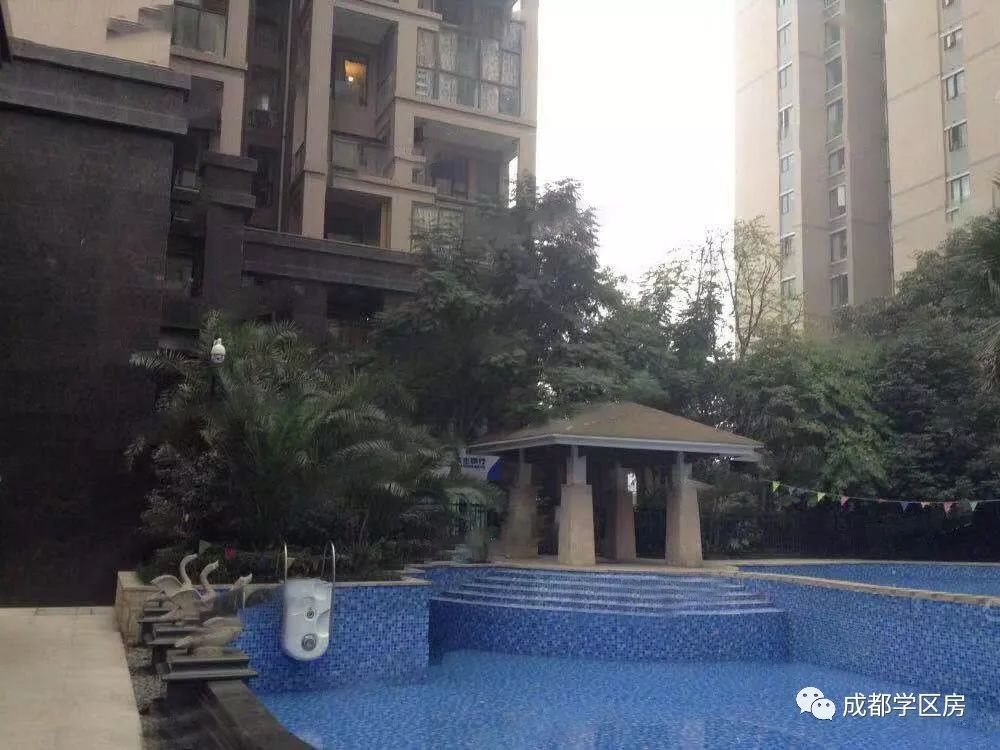 锦晖小学在成都市排名,成都锦晖小学的最新排名