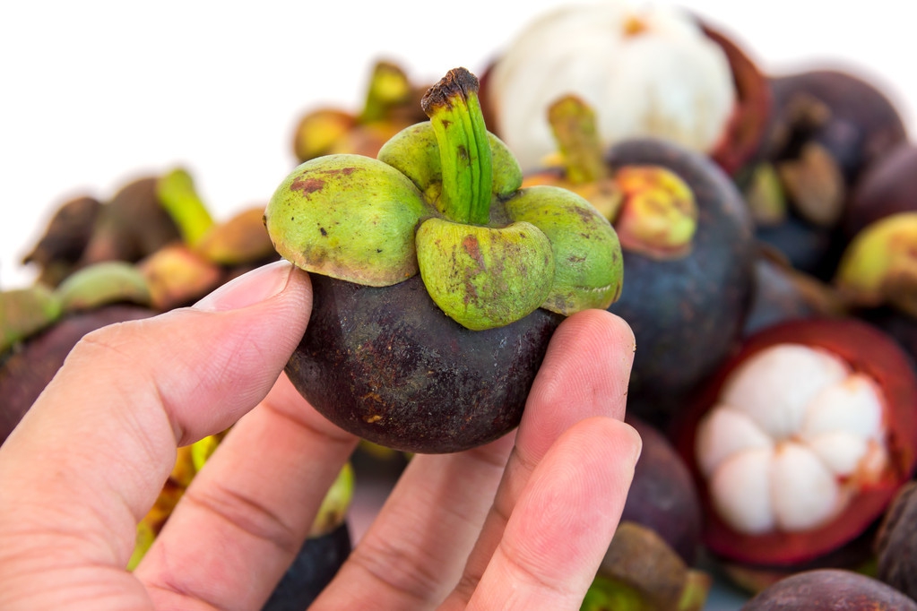 买山竹怎样选才肉多皮薄核还小,山竹怎么选硬的还是软的