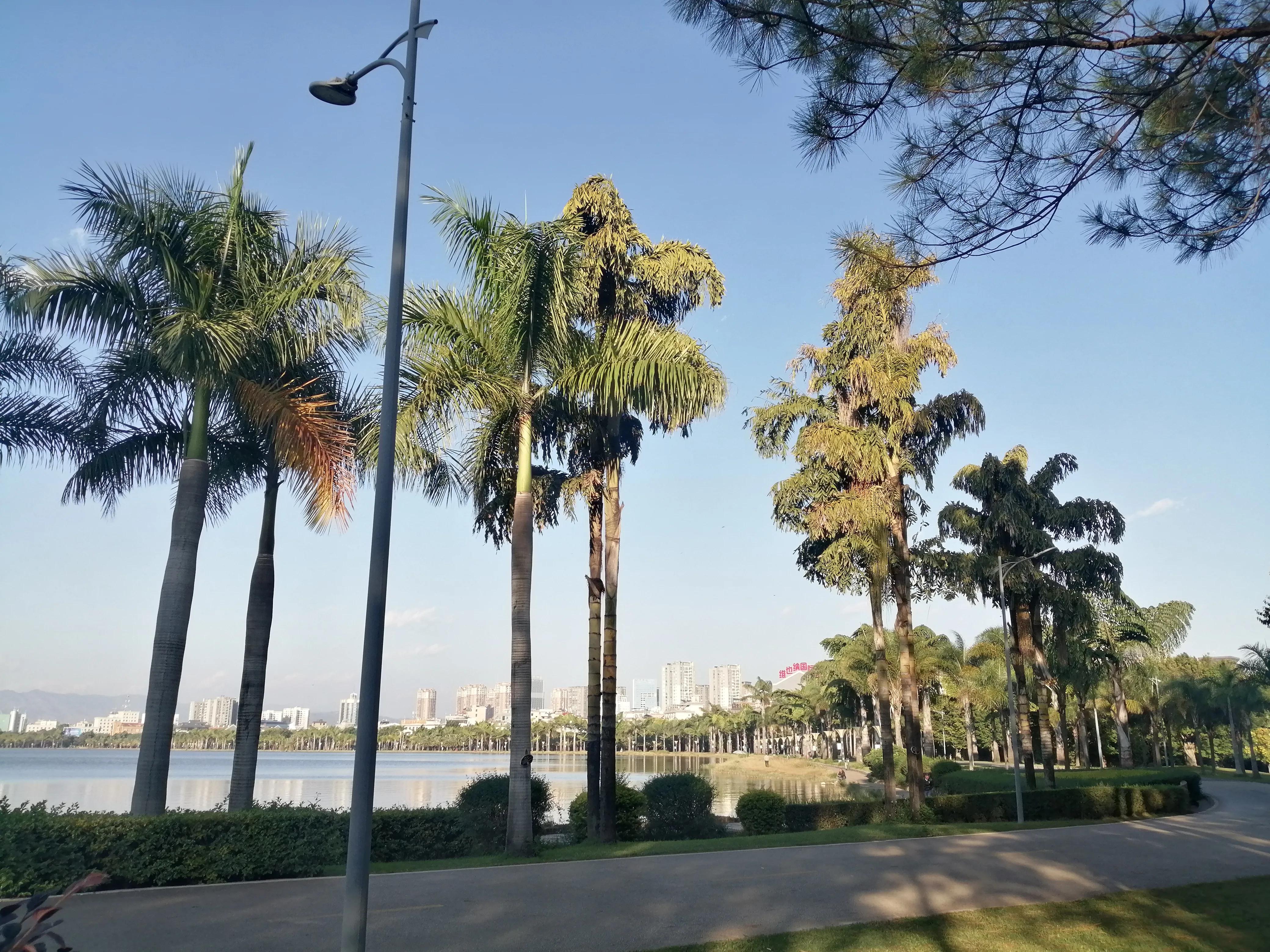 旅居弥勒四月整：尽力就好，人都有无能为力的时候