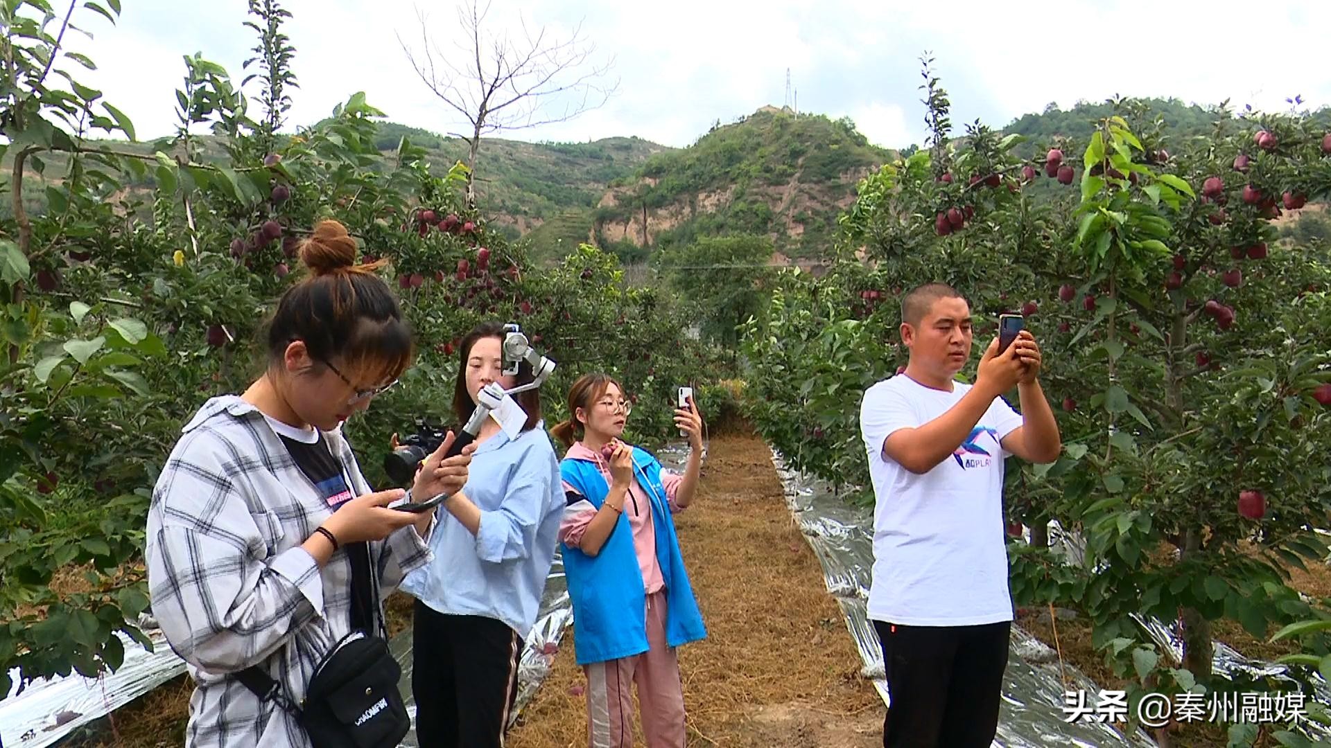 电商平台脱贫攻坚思路和方法,2019农村扶贫电商