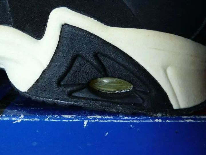 锡安和凯尔登约翰逊,锡安模板约翰逊