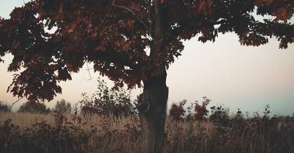 校园灵异故事：宿舍里互传搞笑表情包，几天后舍友们接连身亡