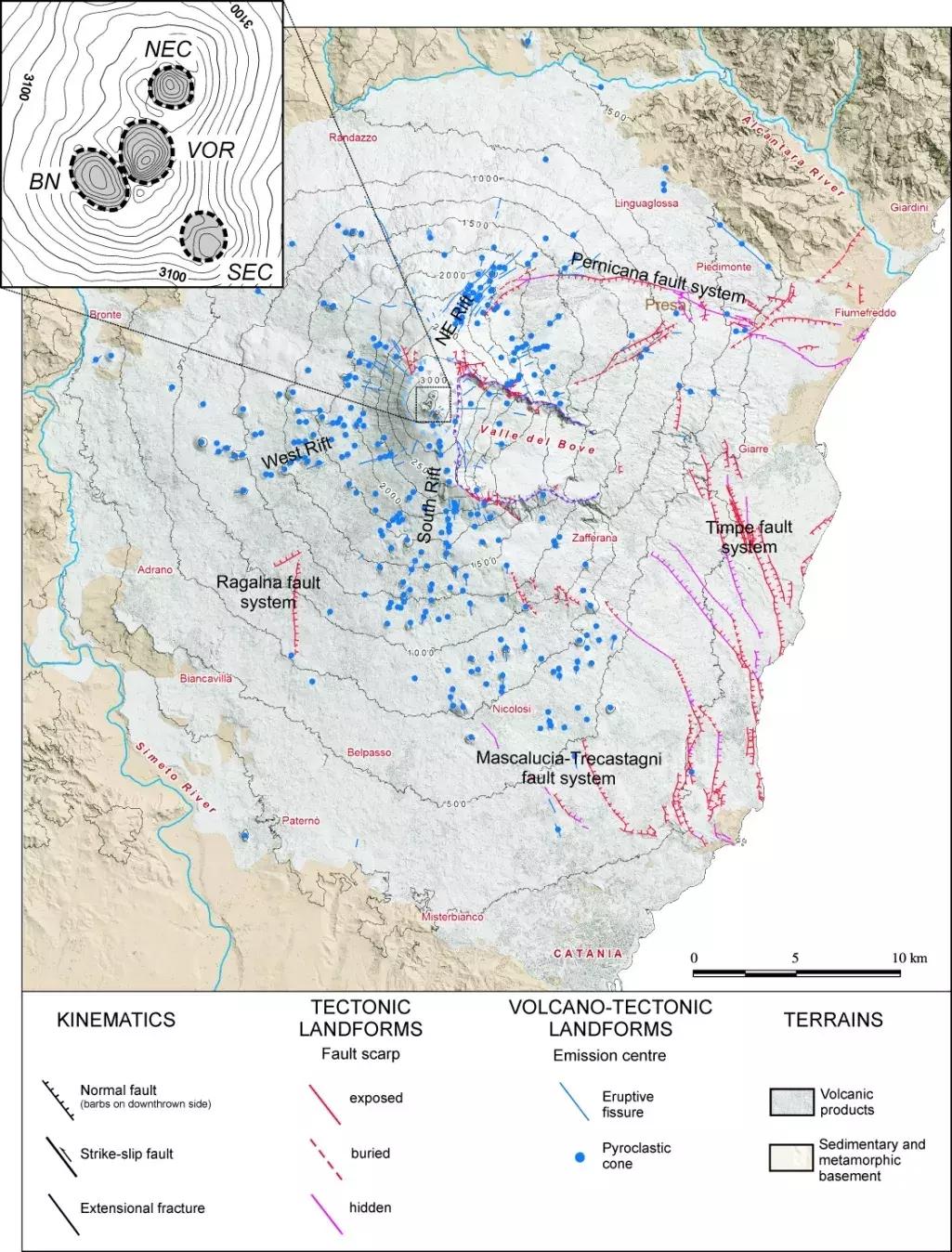 山上“飞”来只火凤凰，这里的居民却要杀掉它？
