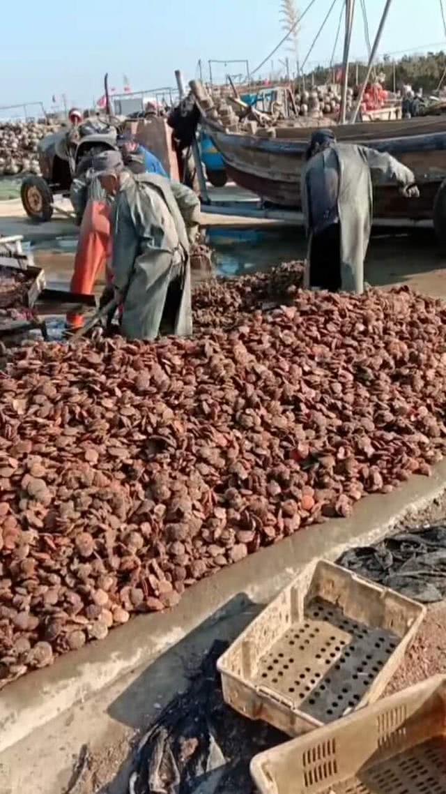 疫情期间村干部捐款为群众买菜,乡贤为村里捐款助力抗疫