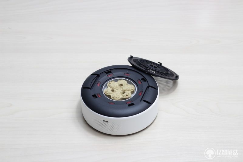 左点小艾3代智能艾灸盒体验,艾灸背部不求人