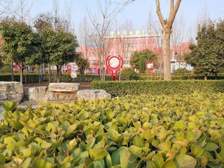 东马路小学多彩的课后服务,小学生有特色的课后服务