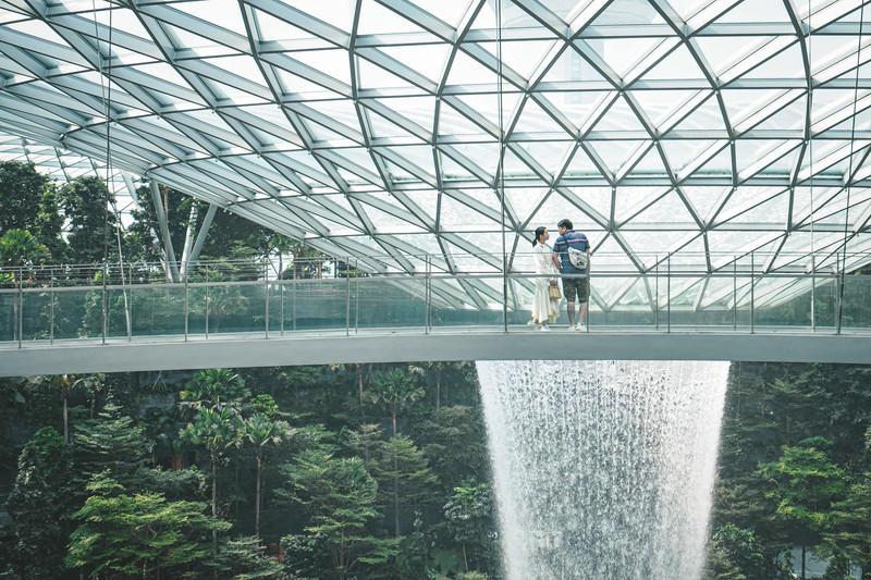 一人一猫环游,一人一猫旅行