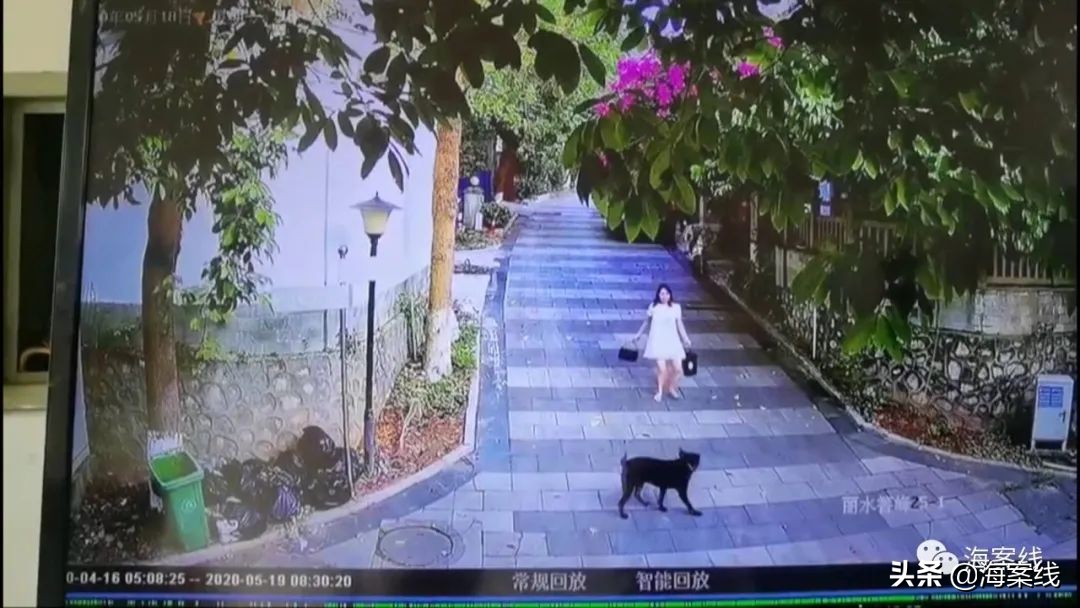 小男孩被狗追赶找爸爸原视频,小男孩遭大黑狗追