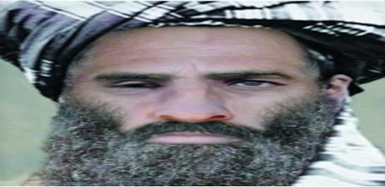 妻子回忆拉登被杀之夜,拉登老婆回忆丈夫