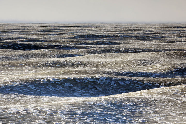 2019南极变暖程度,2023南极变暖最新进展