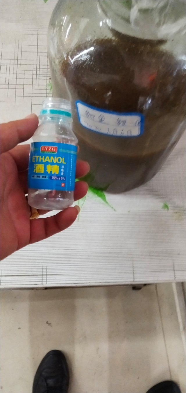 黑坑偷驴饵料配方,黑坑饵料野钓水下测试