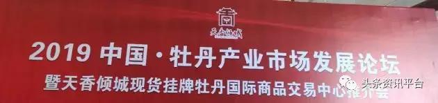 大蒜电子盘死灰复燃,牡丹国际大蒜电子盘交易历史数据