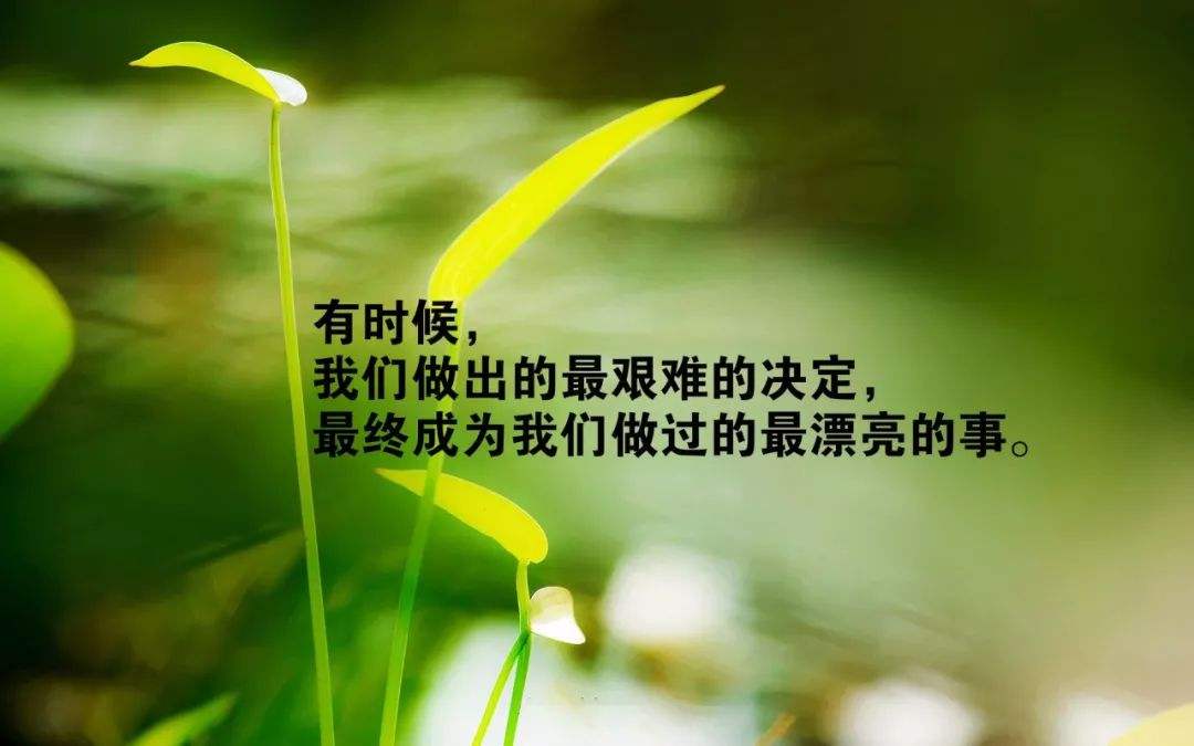 每一位平凡的劳动者都值得被尊重,平凡的人也值得被尊重题目