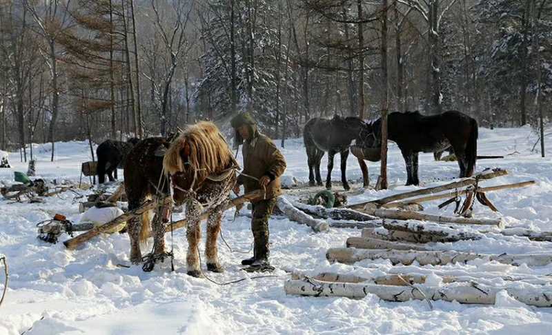 林海雪原女子,林海雪原上的女人