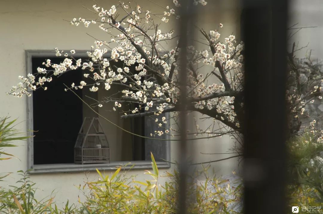 大叔花700万建的花园别墅,太湖石苏州