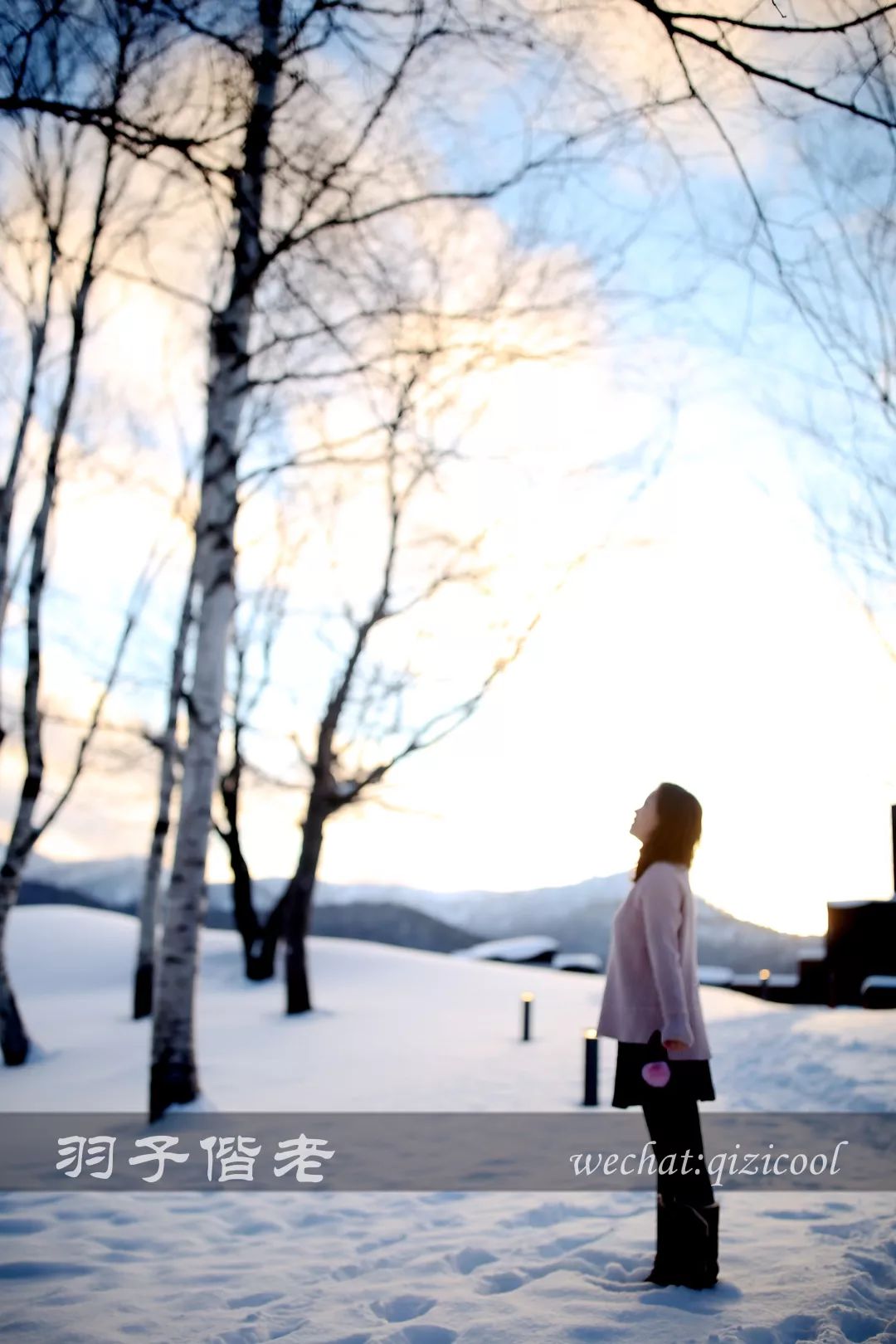 日本10天自由行费用北海道,东京北海道5日自由行攻略