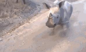 闲鱼潮人,我在闲鱼当卖家