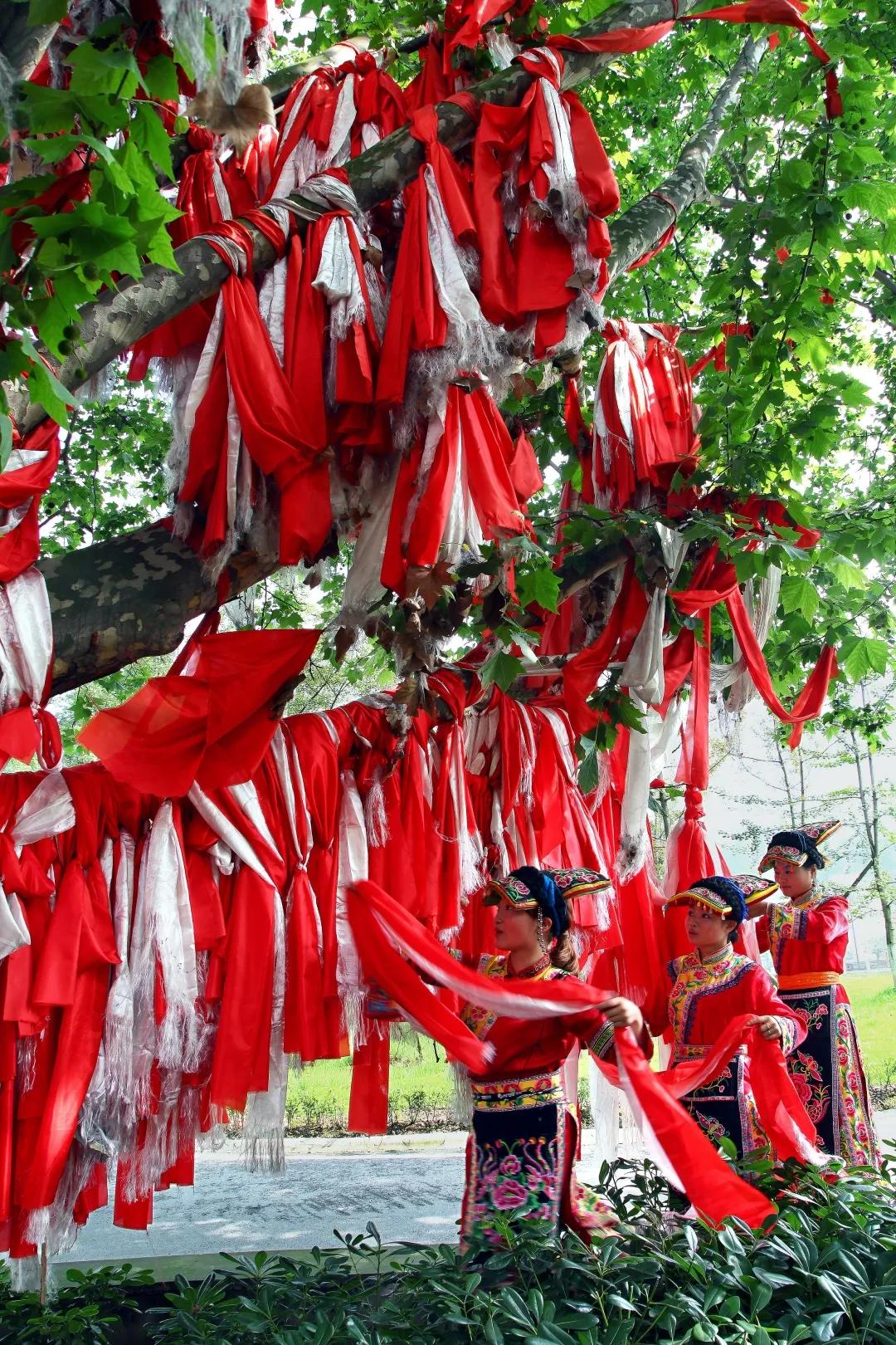 汶川这几天是什么天气,汶川这几天哪里可以看雪