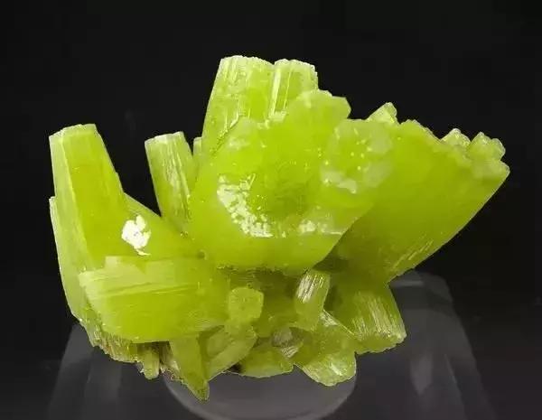 世界上令自己眸生情,见到后再也不爱别人的51个丽人