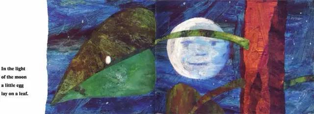 小红书绘本中国年,值得推荐的英语绘本