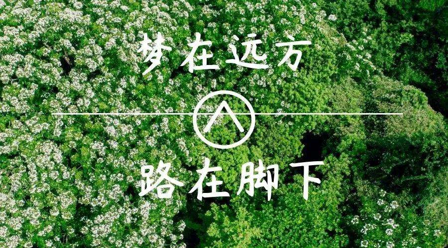 体育生高考落榜最佳出路,高中学体育高考有出路么