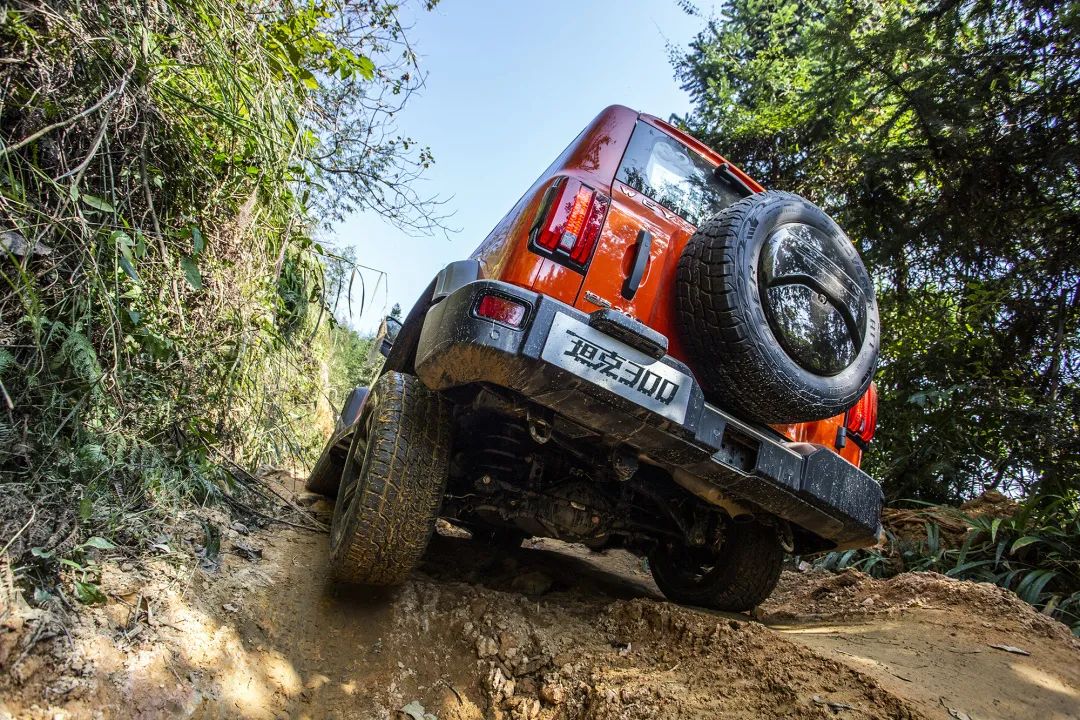 一键启动时光机，敢不敢穿梭回2020年伊始......