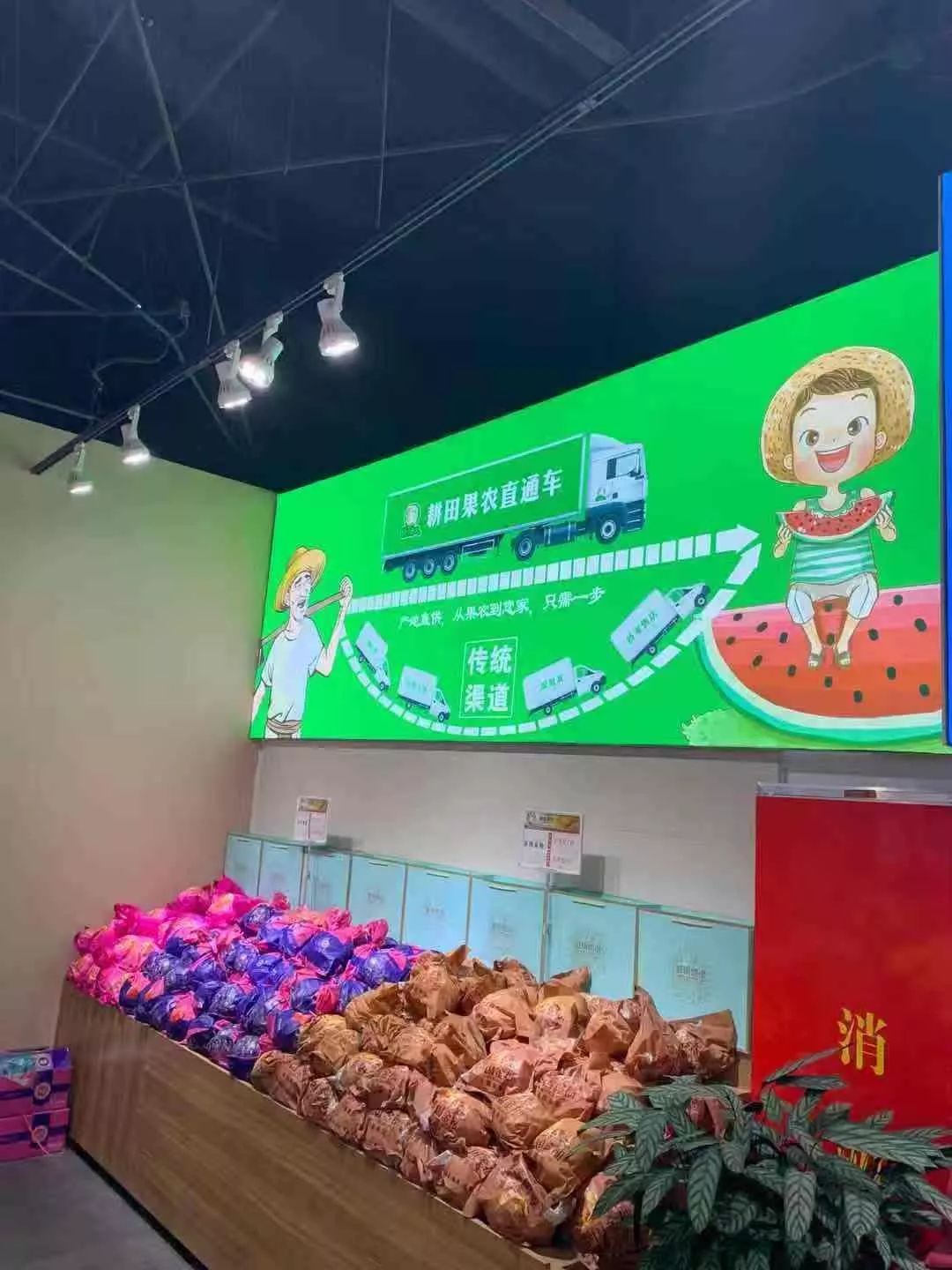 曝光！东营这家水果店竟然泰国金柚整箱送