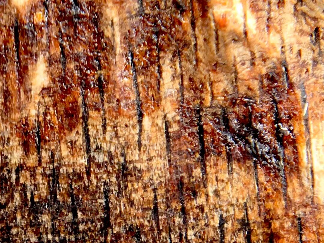 惠安系越南沉香,老惠安和大叻沉香区别