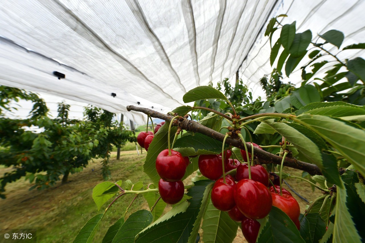 都是名字惹得祸,都是名字惹的祸完整版