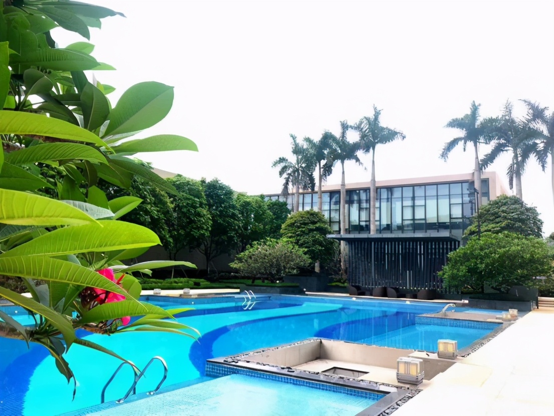 新力君悦湾与帝泊湾哪个好,新力帝泊湾的房子能买吗