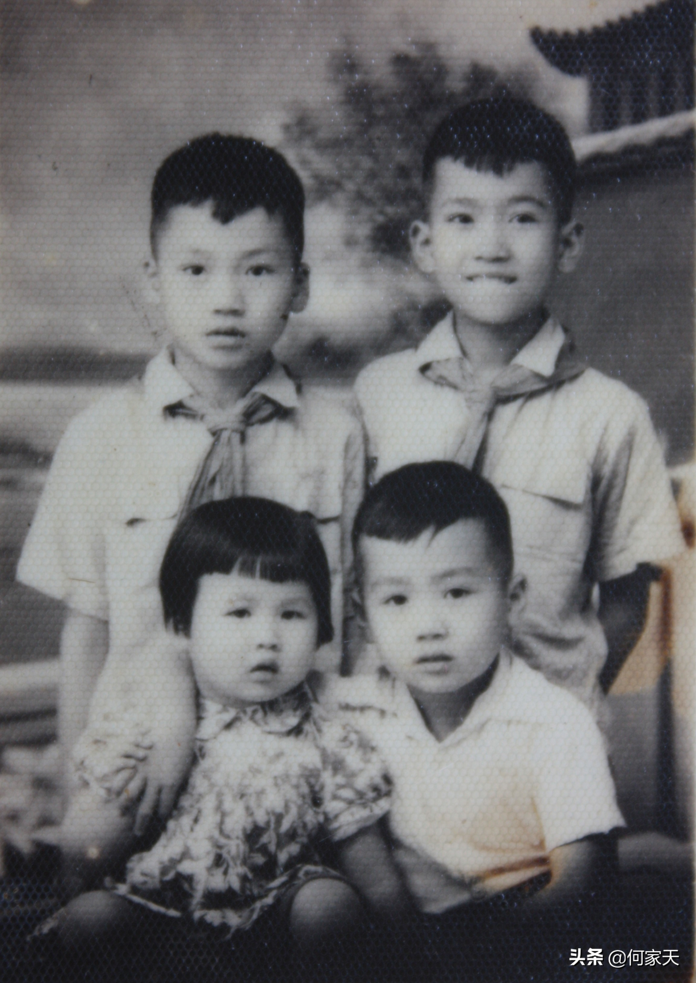 难忘往事8:我们全家人的共同母校——漳州实小