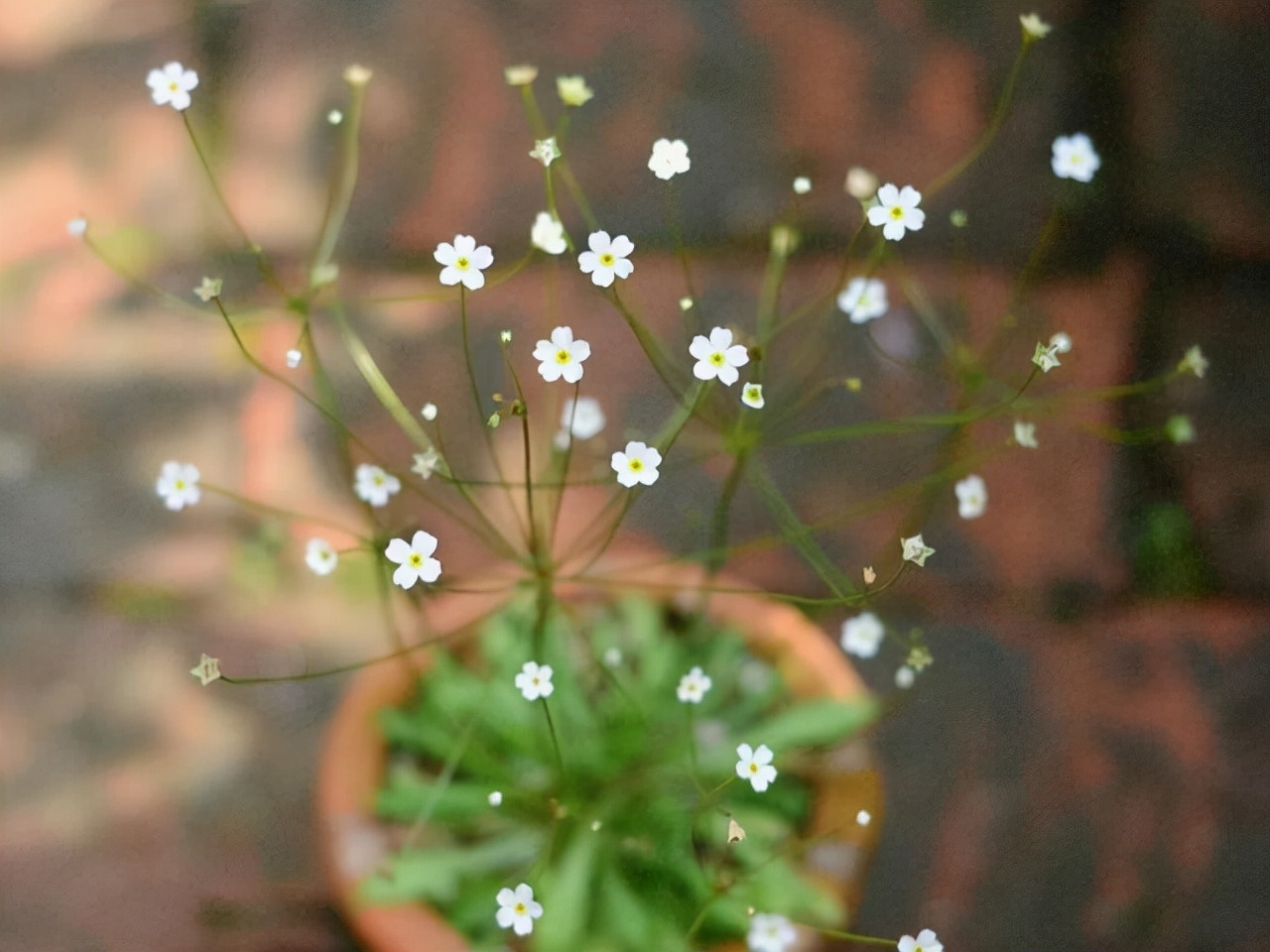 非常强势一般人驾驭不了的星座,脾气倔强很难劝得住的两大星座