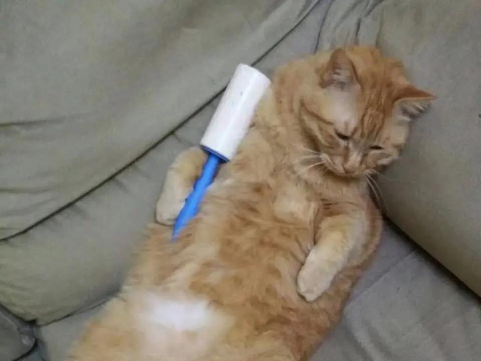 宜家必买的26种草,宜家好用的好物推荐