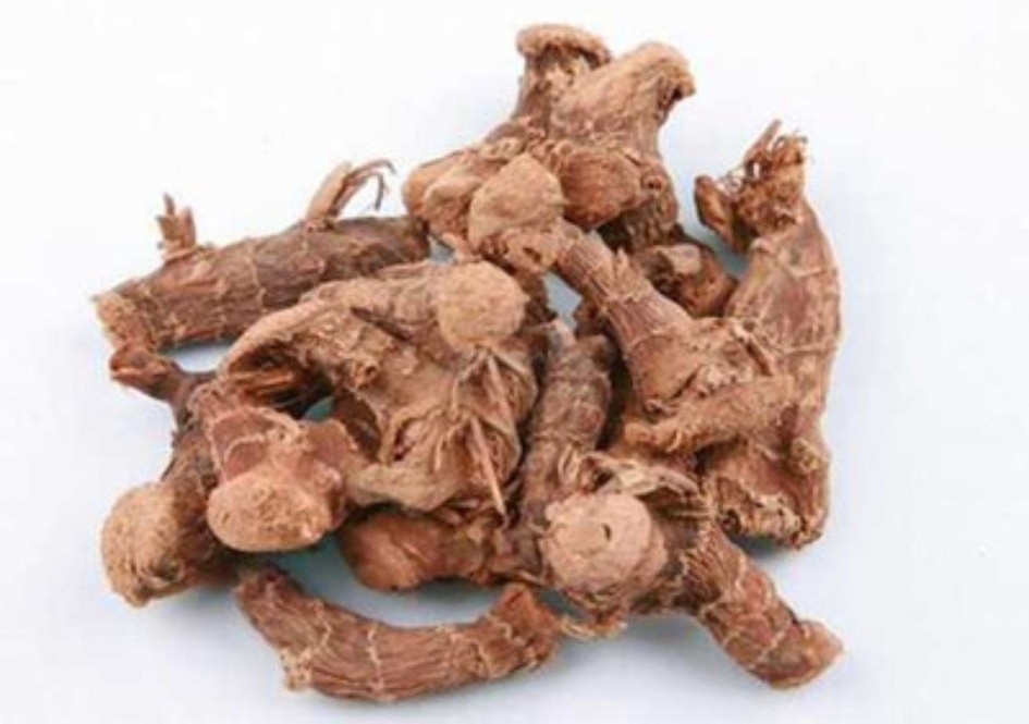 中药各种姜的作用与功效,中药马蹄姜的功效与作用