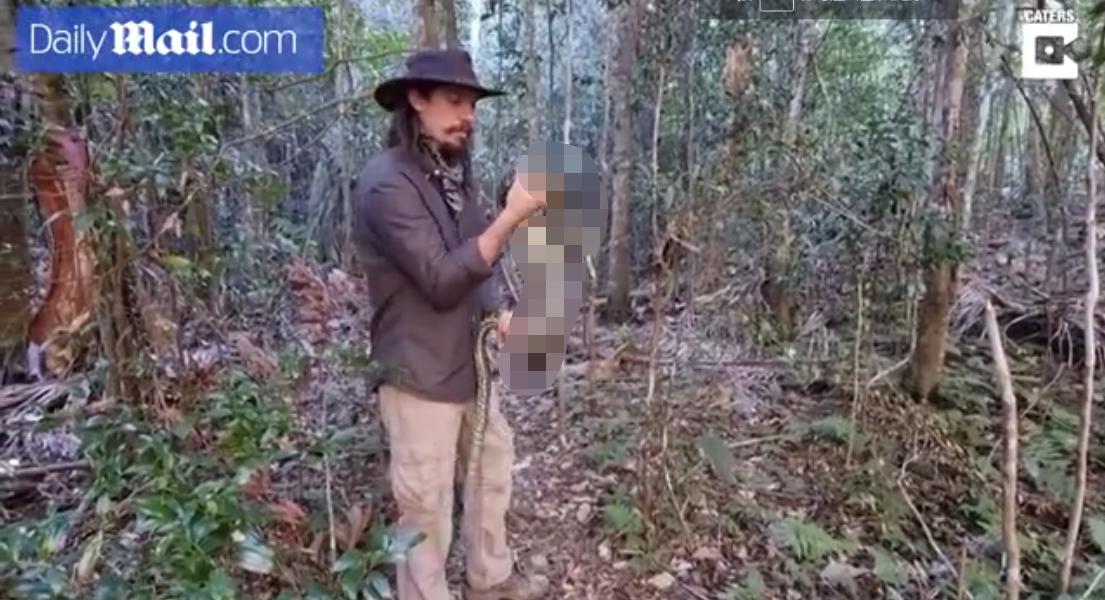 澳洲男子帮蛇过马路,被蟒蛇袭击该如何自救